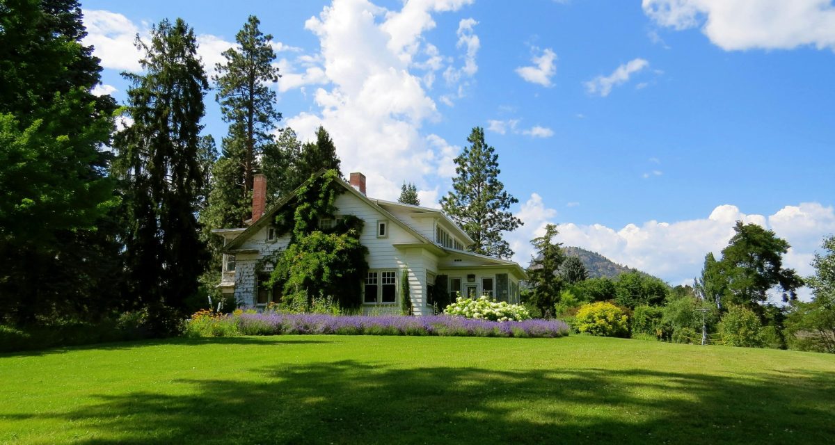 Idyllic countryside house surrounded by lavender and greenery under a bright blue sky.